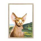 Highland Coo Framed Print Cat Cafe A3 (297 X 420 mm) / Natural / No Mount (All Art) Framed Print