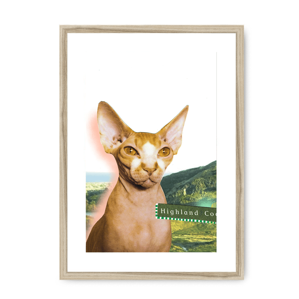 Highland Coo Framed Print Cat Cafe A3 (297 X 420 mm) / Natural / White Mount Framed Print