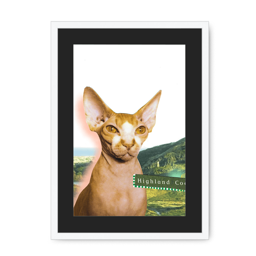 Highland Coo Framed Print Cat Cafe A3 (297 X 420 mm) / White / Black Mount Framed Print