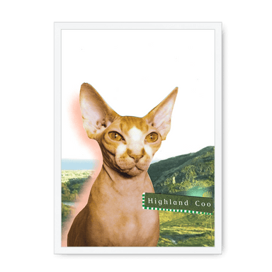 Highland Coo Framed Print Cat Cafe A3 (297 X 420 mm) / White / No Mount (All Art) Framed Print