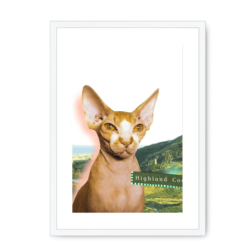 Highland Coo Framed Print Cat Cafe A3 (297 X 420 mm) / White / White Mount Framed Print