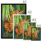 Jungle Stripes Framed Print Pawky Paws Framed Print