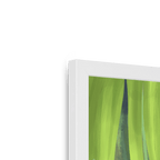 Jungle Stripes Framed Print Pawky Paws Framed Print