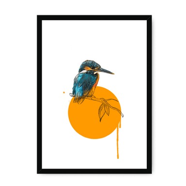 Kingfisher Framed Print Drippy Birds A3 (297 X 420 mm) / Black / No Mount (All Art) Framed Print