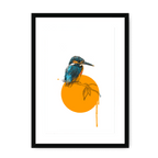 Kingfisher Framed Print Drippy Birds A3 (297 X 420 mm) / Black / White Mount Framed Print
