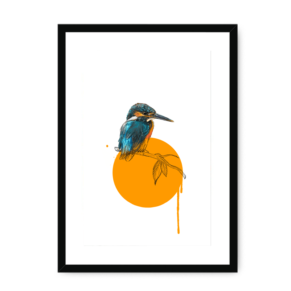 Kingfisher Framed Print Drippy Birds A3 (297 X 420 mm) / Black / White Mount Framed Print