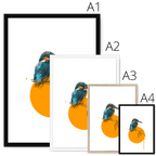 Kingfisher Framed Print Drippy Birds Framed Print