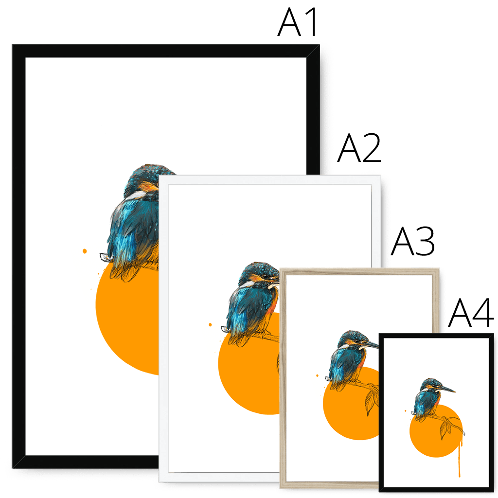 Kingfisher Framed Print Drippy Birds Framed Print