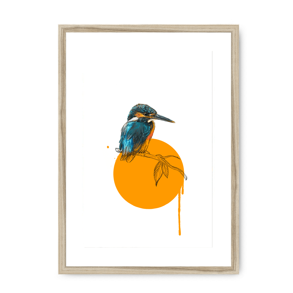 Kingfisher Framed Print Drippy Birds A3 (297 X 420 mm) / Natural / White Mount Framed Print