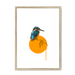 Kingfisher Framed Print Drippy Birds A3 (297 X 420 mm) / Natural / White Mount Framed Print