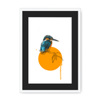 Kingfisher Framed Print Drippy Birds A3 (297 X 420 mm) / White / Black Mount Framed Print