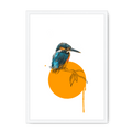 Kingfisher Framed Print Drippy Birds A3 (297 X 420 mm) / White / No Mount (All Art) Framed Print