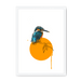 Kingfisher Framed Print Drippy Birds A3 (297 X 420 mm) / White / No Mount (All Art) Framed Print