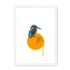 Kingfisher Framed Print Drippy Birds A3 (297 X 420 mm) / White / White Mount Framed Print
