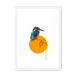 Kingfisher Framed Print Drippy Birds A3 (297 X 420 mm) / White / White Mount Framed Print