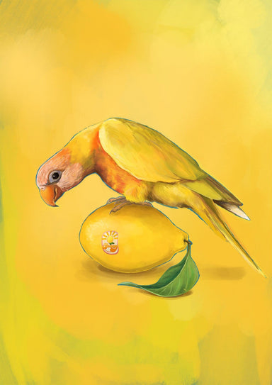 Lemon Lorikeet Giclée Art Print Sticky Beaks Art Print