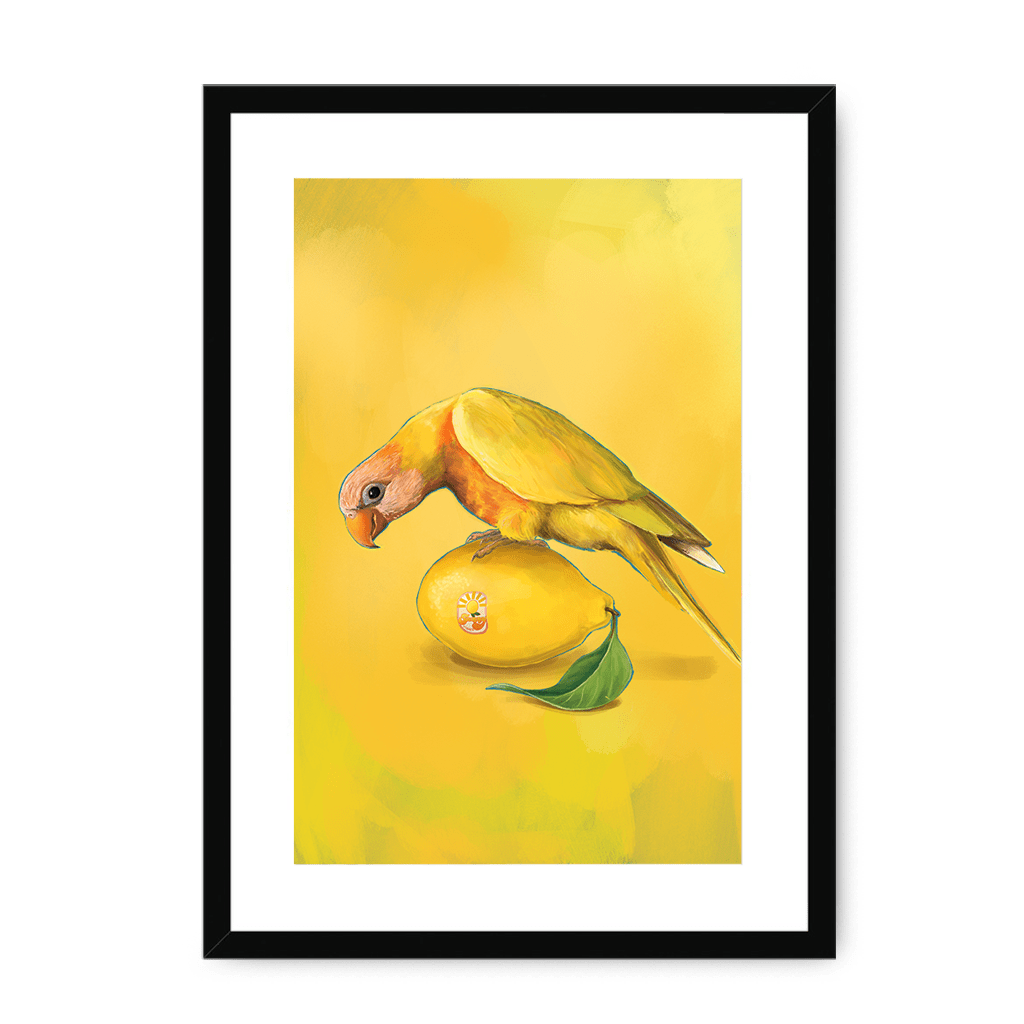 Lemon Lorikeet Framed Print Sticky Beaks A3 (297 X 420 mm) / Black / White Mount Framed Print