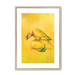 Lemon Lorikeet Framed Print Sticky Beaks A3 (297 X 420 mm) / Natural / White Mount Framed Print