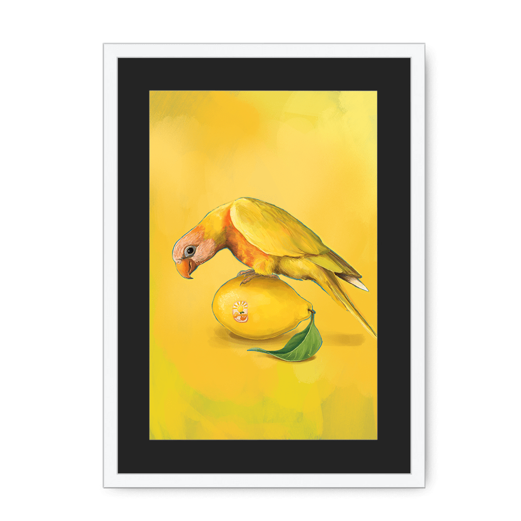 Lemon Lorikeet Framed Print Sticky Beaks A3 (297 X 420 mm) / White / Black Mount Framed Print