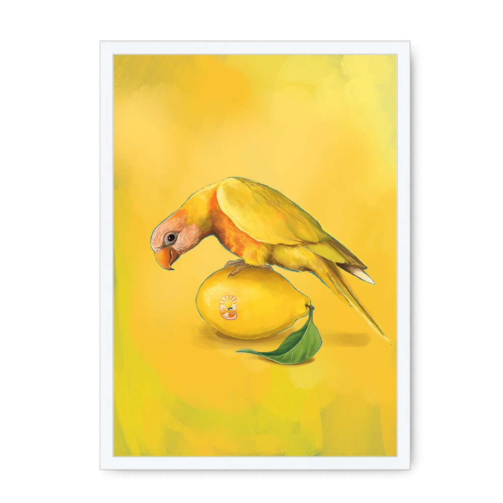 Lemon Lorikeet Framed Print Sticky Beaks A3 (297 X 420 mm) / White / No Mount (All Art) Framed Print