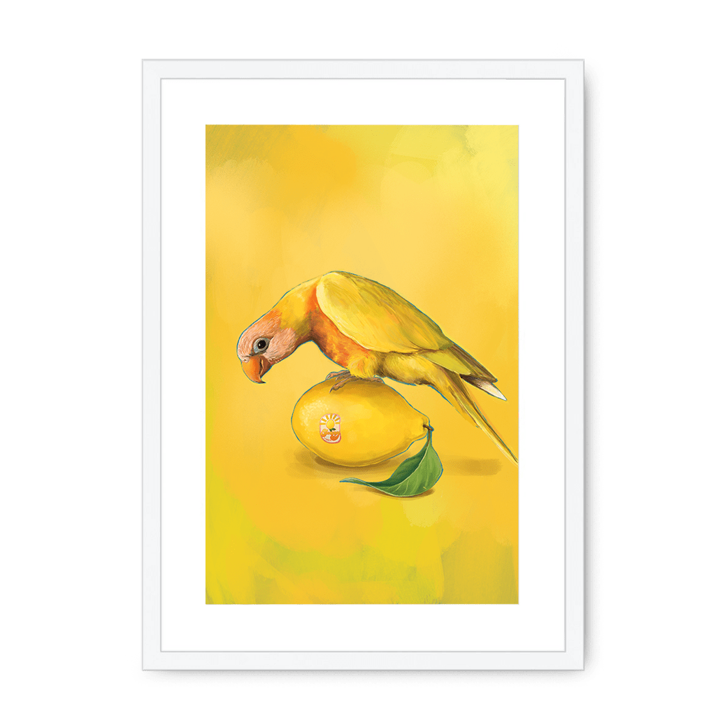 Lemon Lorikeet Framed Print Sticky Beaks A3 (297 X 420 mm) / White / White Mount Framed Print