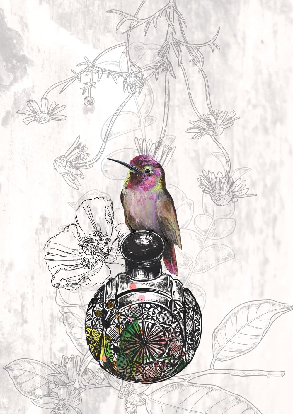 Les Parfums Colibri Rose Matte Art Print Les Parfums Art Print