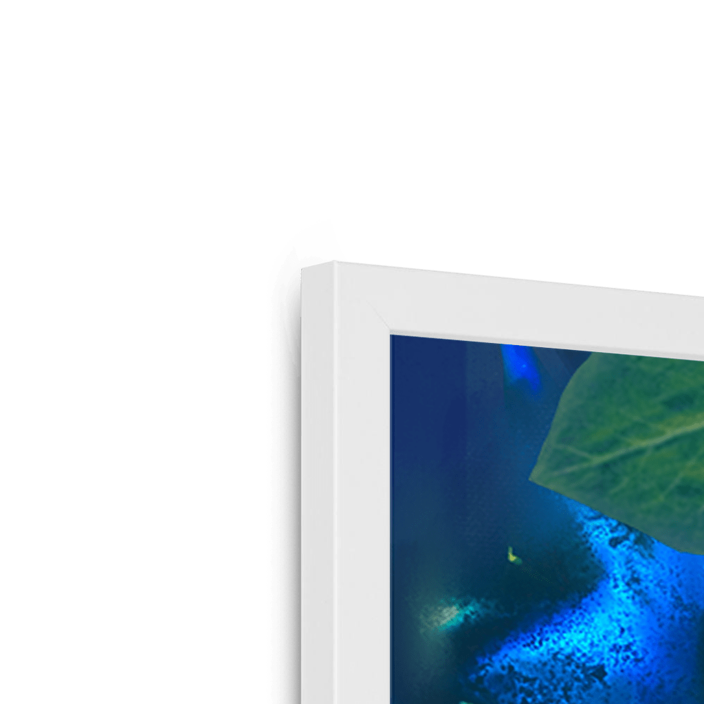 Midnight Prowl Framed Print Pawky Paws Framed Print