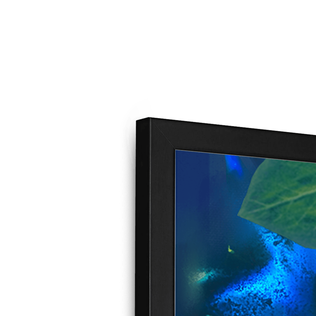 Midnight Prowl Framed Print Pawky Paws Framed Print