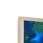 Midnight Prowl Framed Print Pawky Paws Framed Print