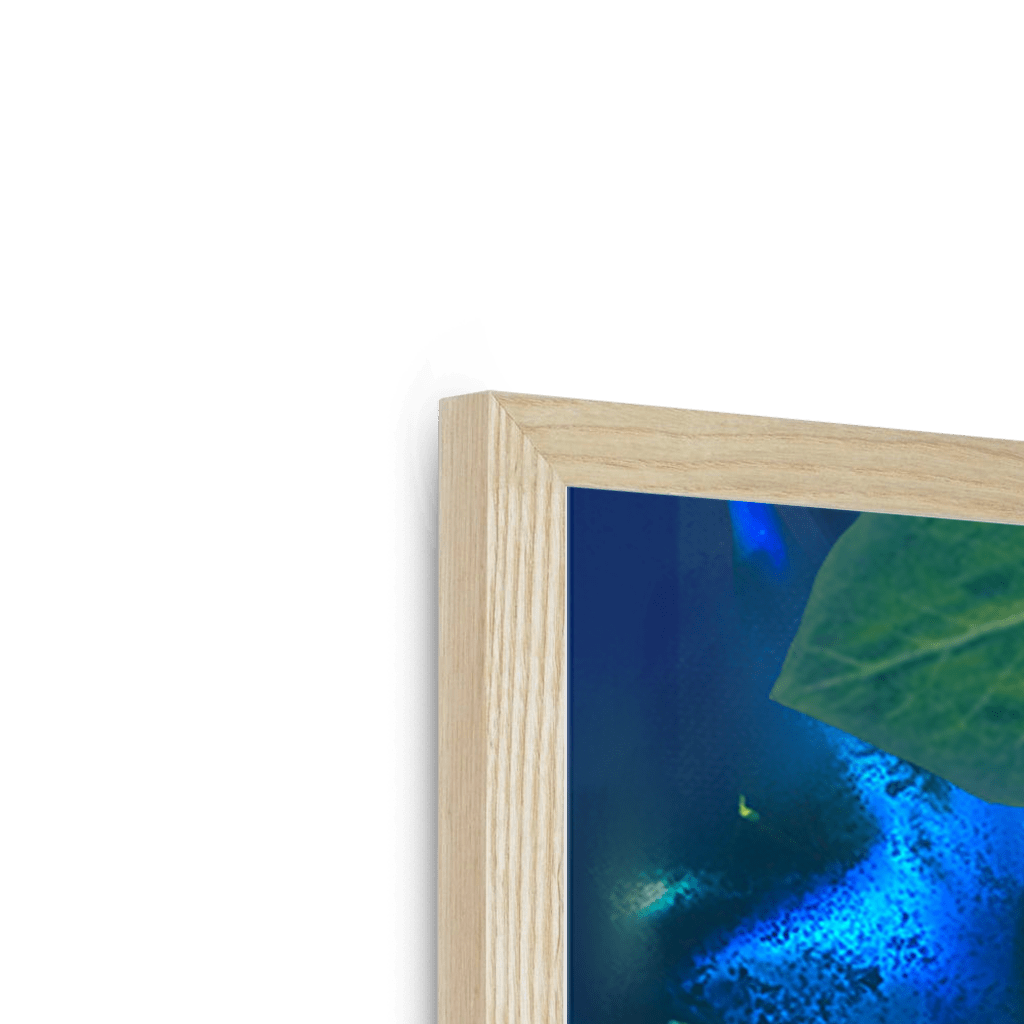 Midnight Prowl Framed Print Pawky Paws Framed Print