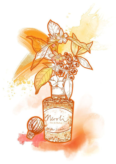 Neroli Orange Matte Art Print Chromatic Scents Art Print