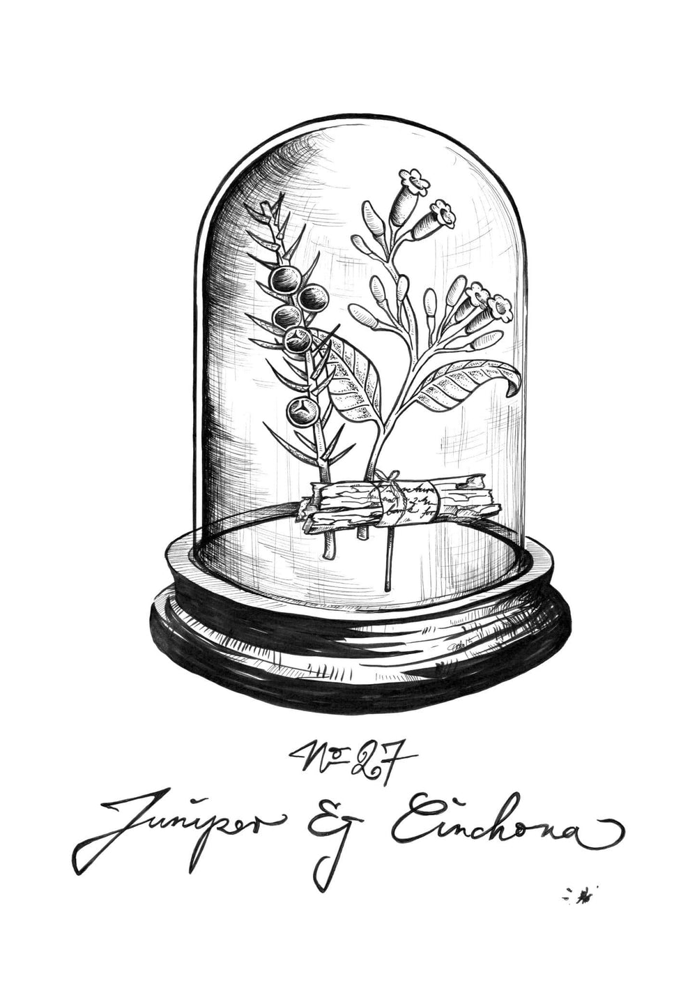 No 27 Juniper & Cinchona Bell Jar Matte Art Print Boozehound Art Print