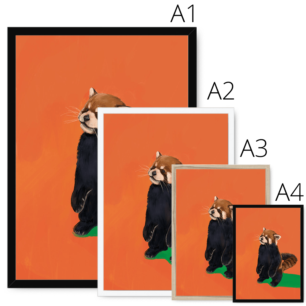 Red Panda OG Framed Print Food Fur & Feathers Framed Print