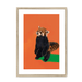 Red Panda OG Framed Print Food Fur & Feathers A3 (297 X 420 mm) / Natural / White Mount Framed Print
