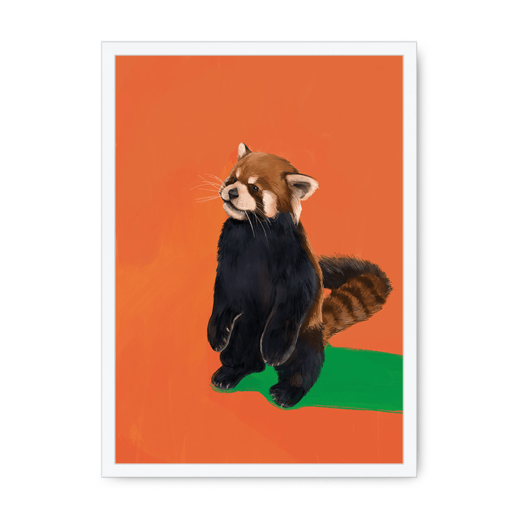 Red Panda OG Framed Print Food Fur & Feathers A3 (297 X 420 mm) / White / No Mount (All Art) Framed Print