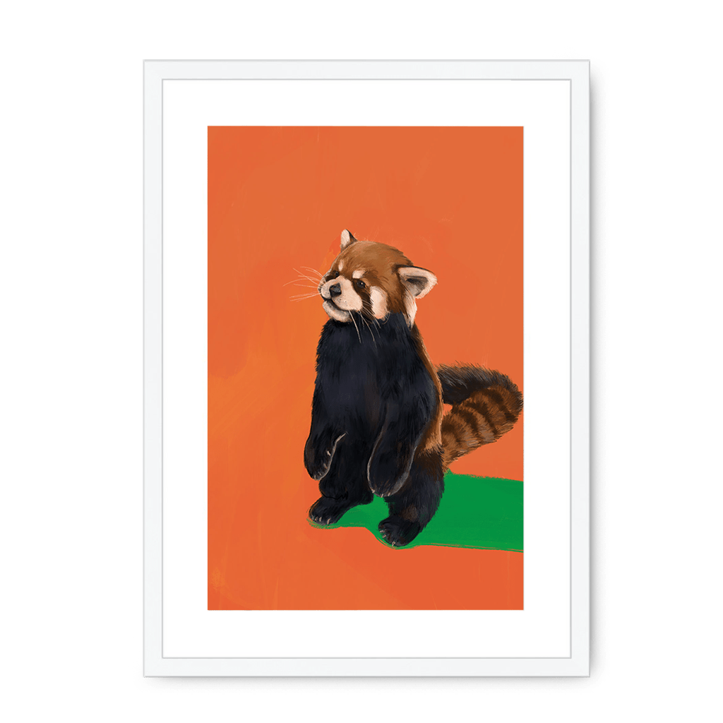 Red Panda OG Framed Print Food Fur & Feathers A3 (297 X 420 mm) / White / White Mount Framed Print