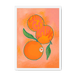 Naranjas Giclée Framed Print Intercontinental Fruitery A3 (297 X 420 mm) / White / No Mount (All Art) Framed Print