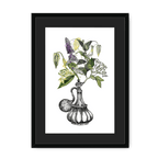 Orientale Framed Print Les Parfums A3 (297 X 420 mm) / Black / Black Mount Framed Print