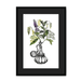 Orientale Framed Print Les Parfums A3 (297 X 420 mm) / Black / Black Mount Framed Print