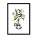 Orientale Framed Print Les Parfums A3 (297 X 420 mm) / Black / White Mount Framed Print