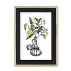 Orientale Framed Print Les Parfums A3 (297 X 420 mm) / Natural / Black Mount Framed Print