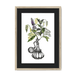 Orientale Framed Print Les Parfums A3 (297 X 420 mm) / Natural / Black Mount Framed Print