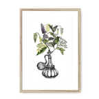 Orientale Framed Print Les Parfums A3 (297 X 420 mm) / Natural / White Mount Framed Print