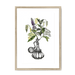 Orientale Framed Print Les Parfums A3 (297 X 420 mm) / Natural / White Mount Framed Print