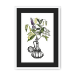 Orientale Framed Print Les Parfums A3 (297 X 420 mm) / White / Black Mount Framed Print
