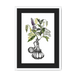 Orientale Framed Print Les Parfums A3 (297 X 420 mm) / White / Black Mount Framed Print