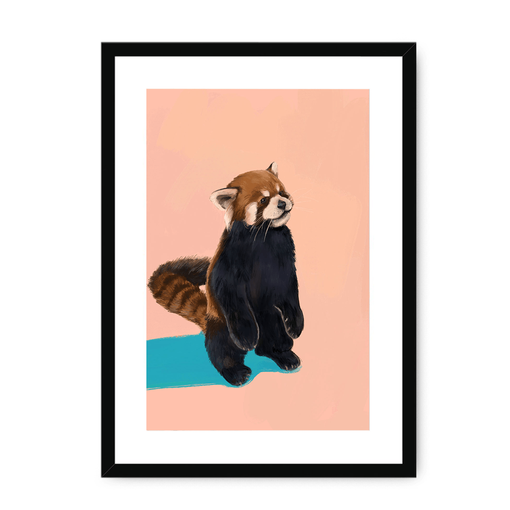 Red Panda PB Framed Print Food Fur & Feathers A3 (297 X 420 mm) / Black / White Mount Framed Print