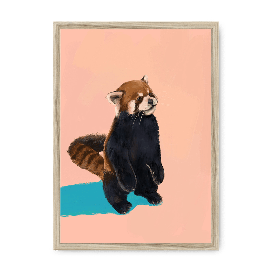Red Panda PB Framed Print Food Fur & Feathers A3 (297 X 420 mm) / Natural / No Mount (All Art) Framed Print
