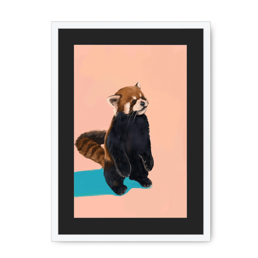 Red Panda PB Framed Print Food Fur & Feathers A3 (297 X 420 mm) / White / Black Mount Framed Print
