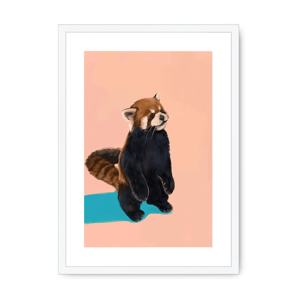 Red Panda PB Framed Print Food Fur & Feathers A3 (297 X 420 mm) / White / White Mount Framed Print